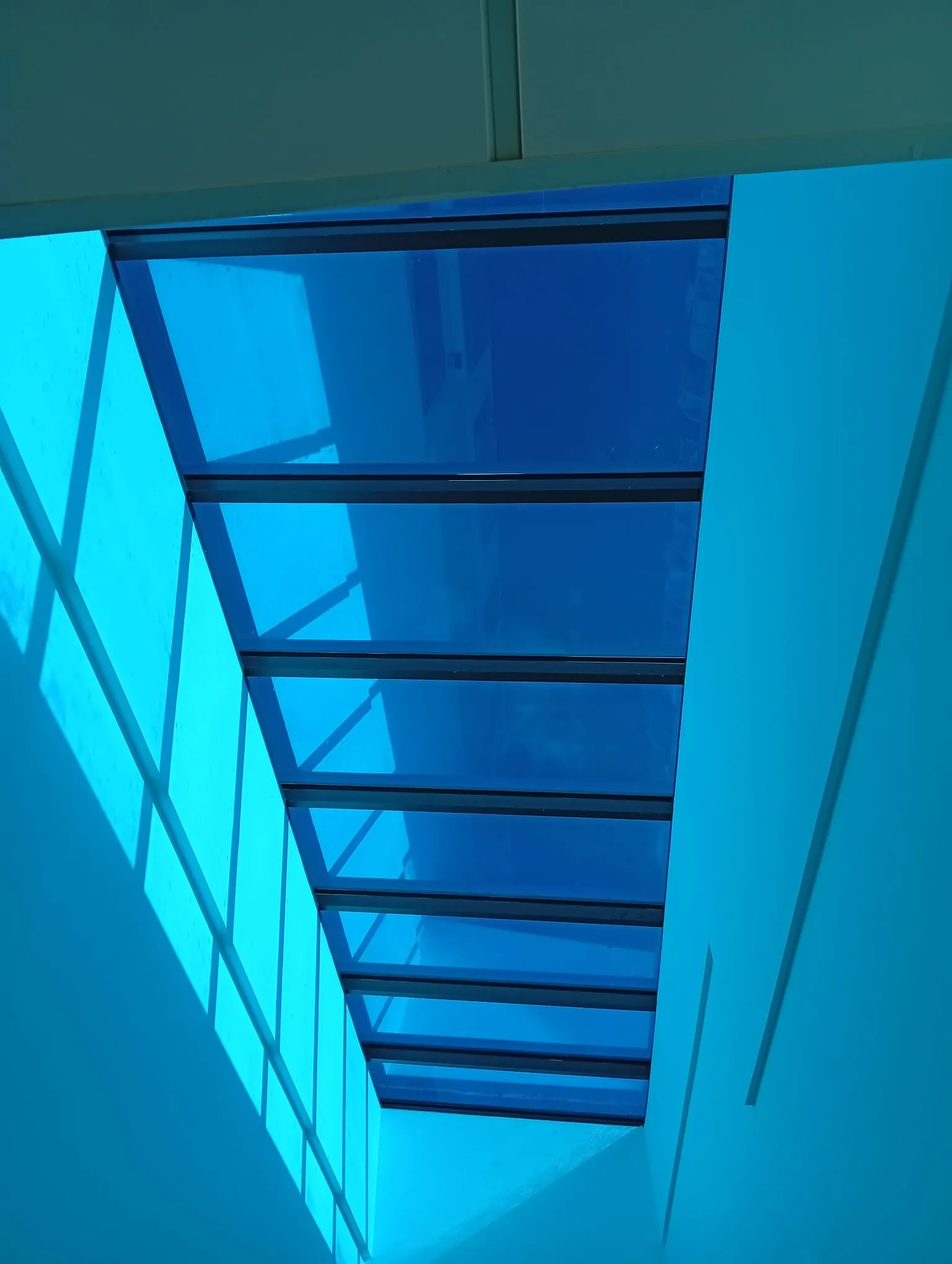 Láminas de protección solar instaladas en escaparate